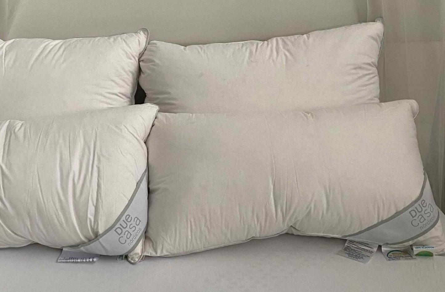 Almohada Due Casa modelo 3D